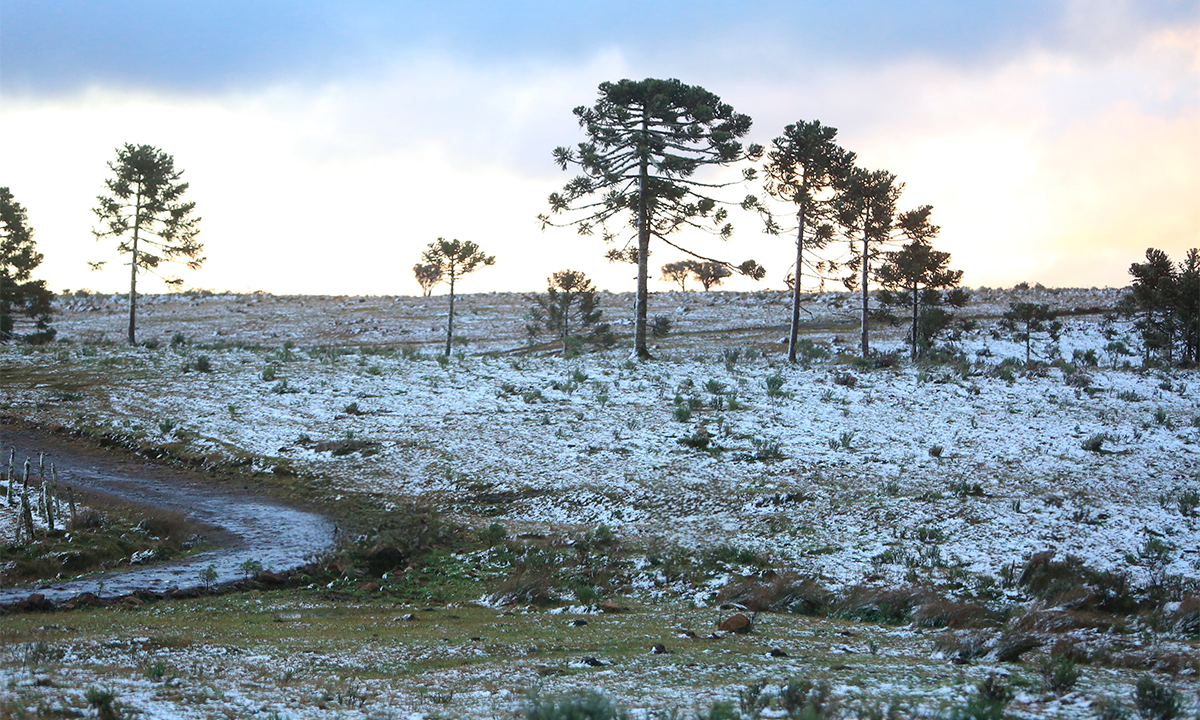Com a chegada da frente fria, flocos de neve transformam o cenário de cidades no sul do Brasil