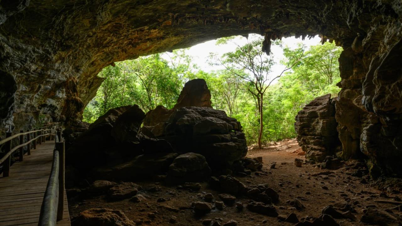 parque-lapa-grande