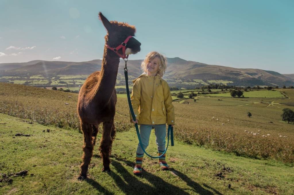 parque Parque Nacional Brecon Beacons é lar do Geoparque Fforest Fawr e suas paisagens geológicas únicas