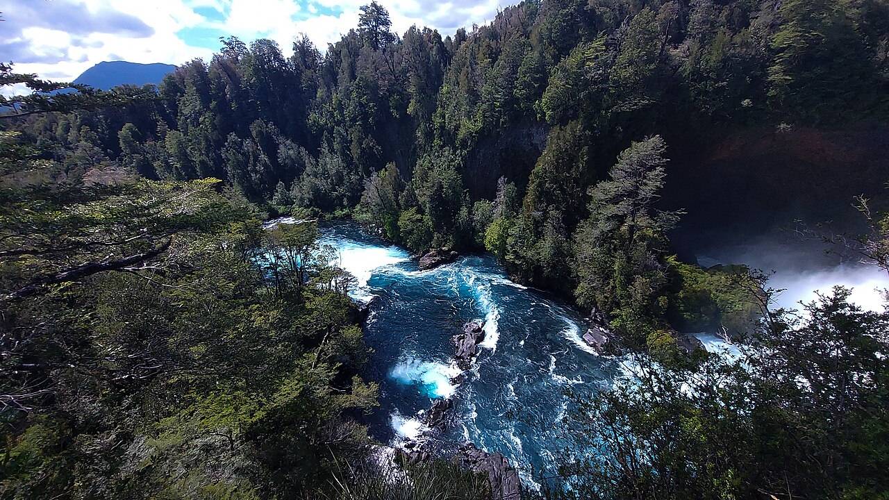 reserva-huilo-huilo-chile