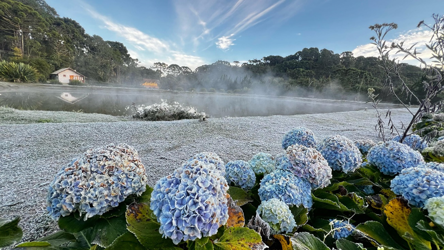 Geada, Monte Verde, Minas Gerais