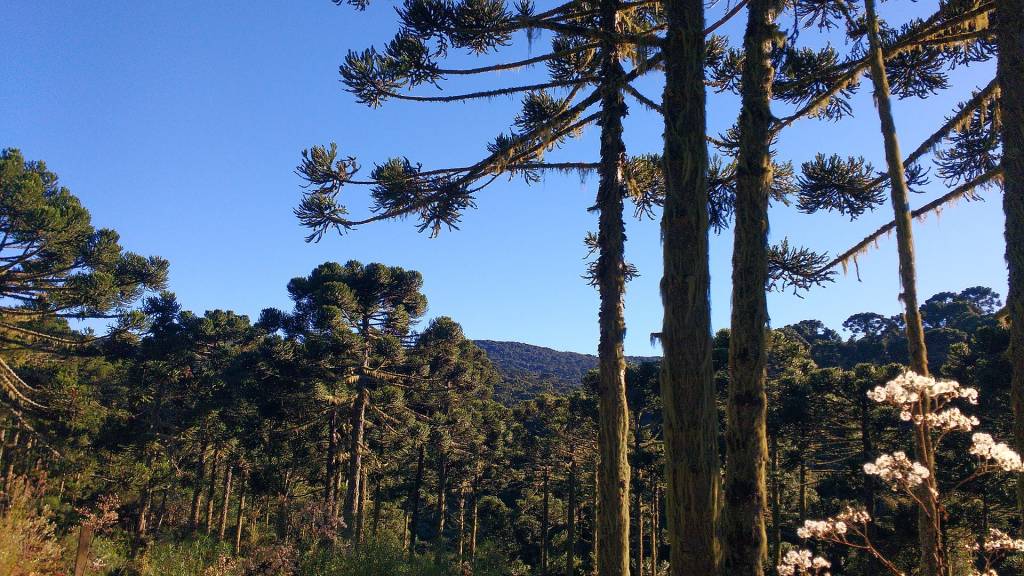 urupema-paisagem urupema-paisagem