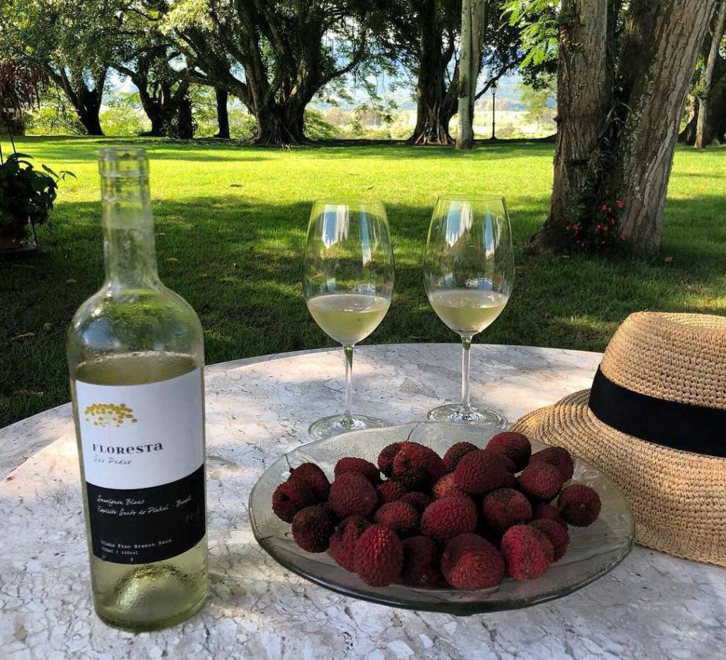 vinicola-floresta vinicola-floresta