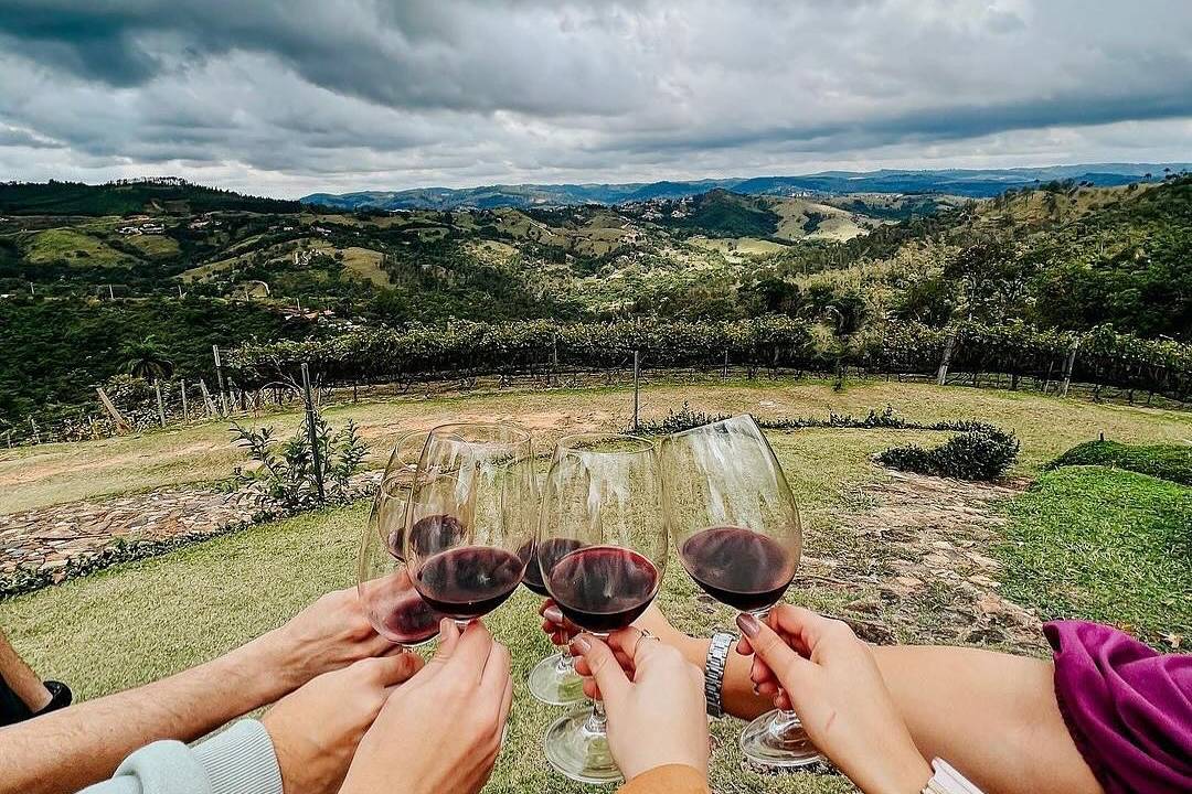 vinicola-terrassos