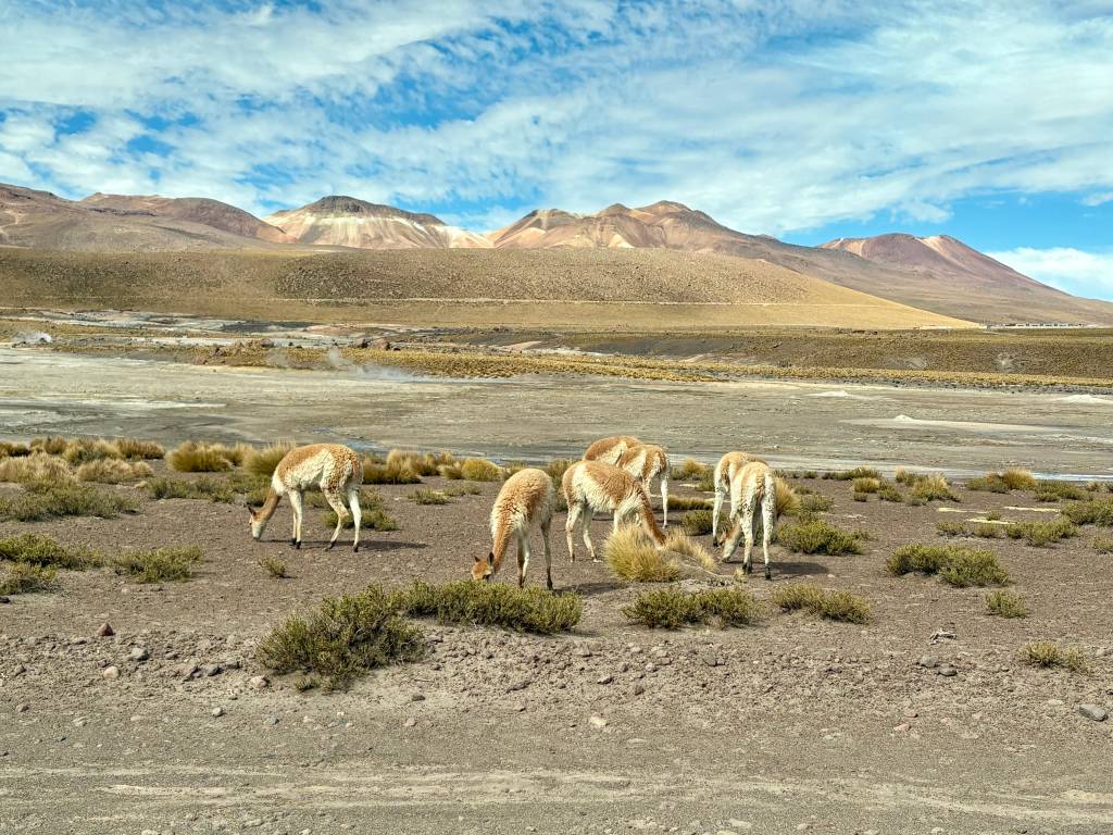 Tierra, Atacama, Chile
