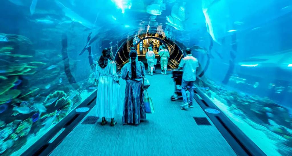 Dubai Aquarium, Dubai, Emirados Árabes