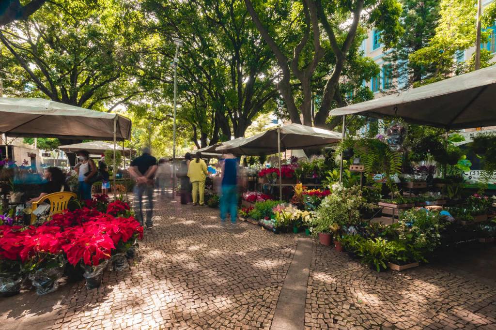 feira-flores-bh-2 feira-flores-bh-2