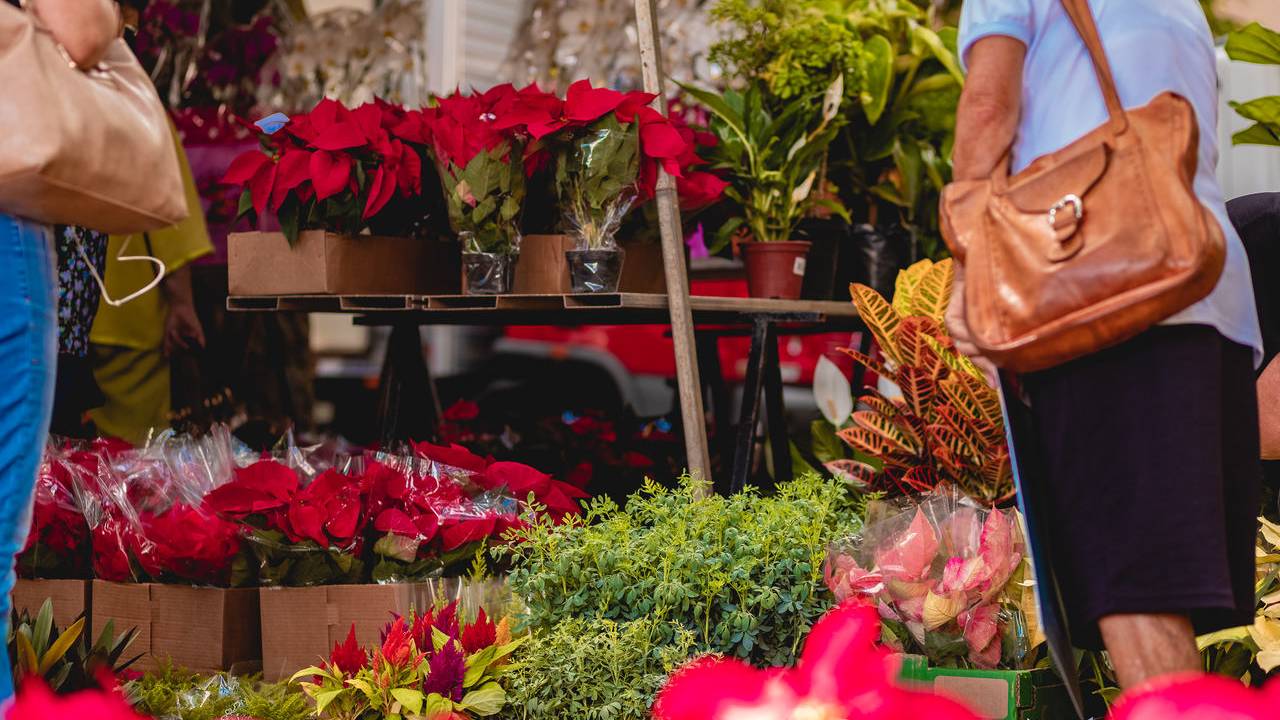 feira-flores-bh