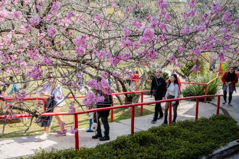 Parque das Cerejeiras, Campos do Jordão, São Paulo