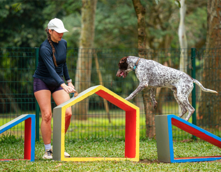 Ibirapuera recebe pets e tutores em clima de festa