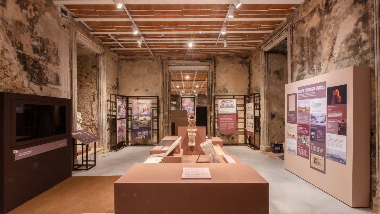 exposição entre gigantes, museu nacional, rio de janeiro