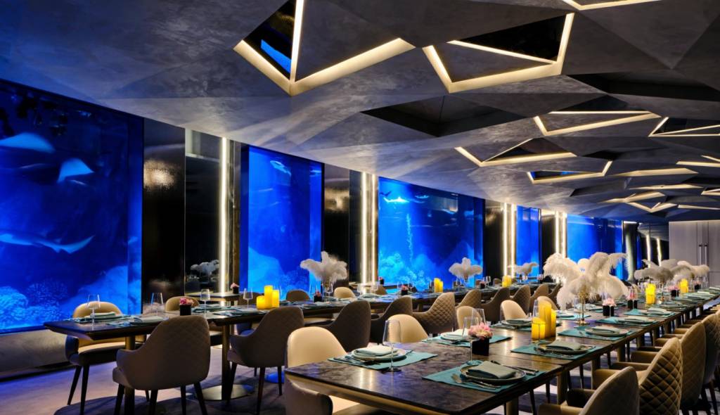 shanghai-wonderland shanghai-wonderland