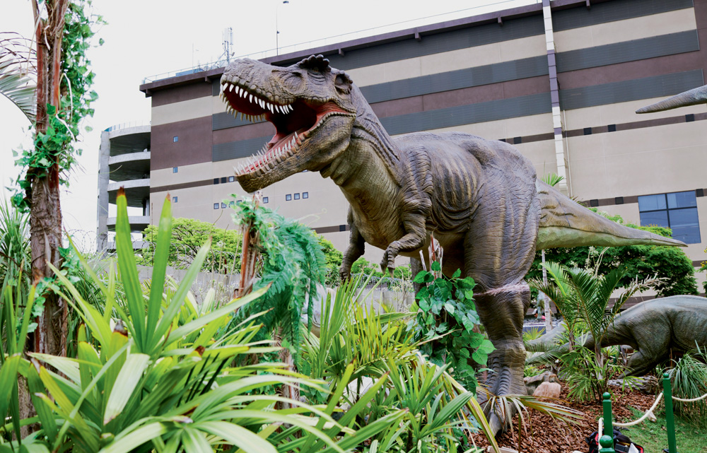 t-rex-park t-rex-park