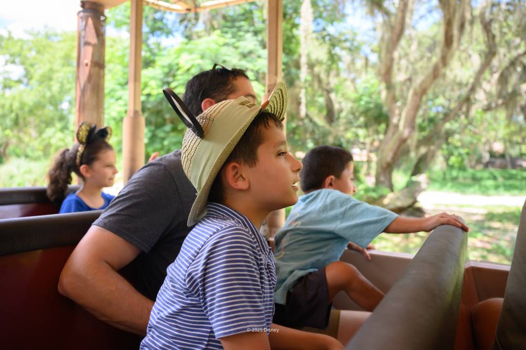 Kilimanjaro Safaris – Disney’s Animal Kingdom Theme Park Kilimanjaro Safaris – Disney’s Animal Kingdom Theme Park