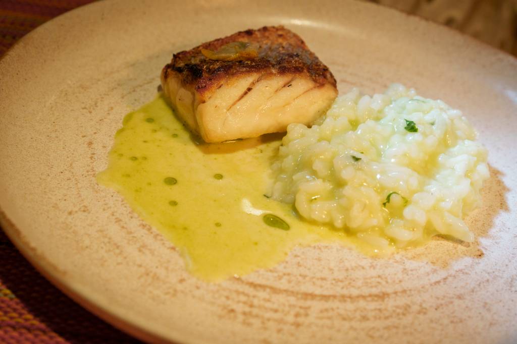 _1NC8759 Prato branco com uma posta de peixe, arroz e molho para acompanhar