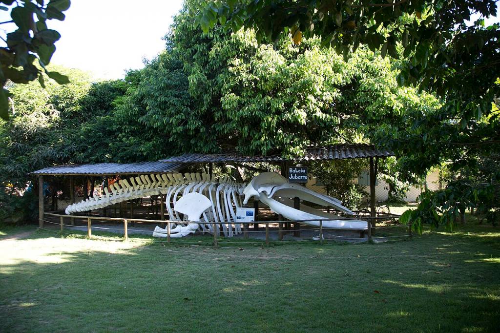centro-ecologico centro-ecologico