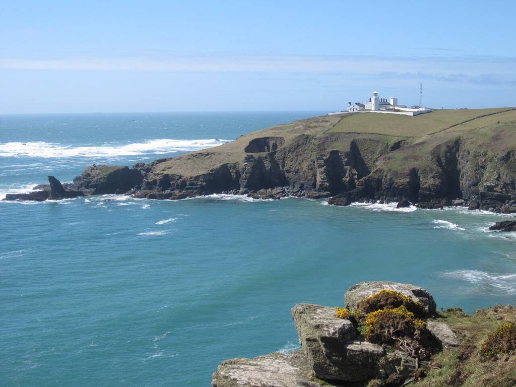 lizard-farol lizard-farol