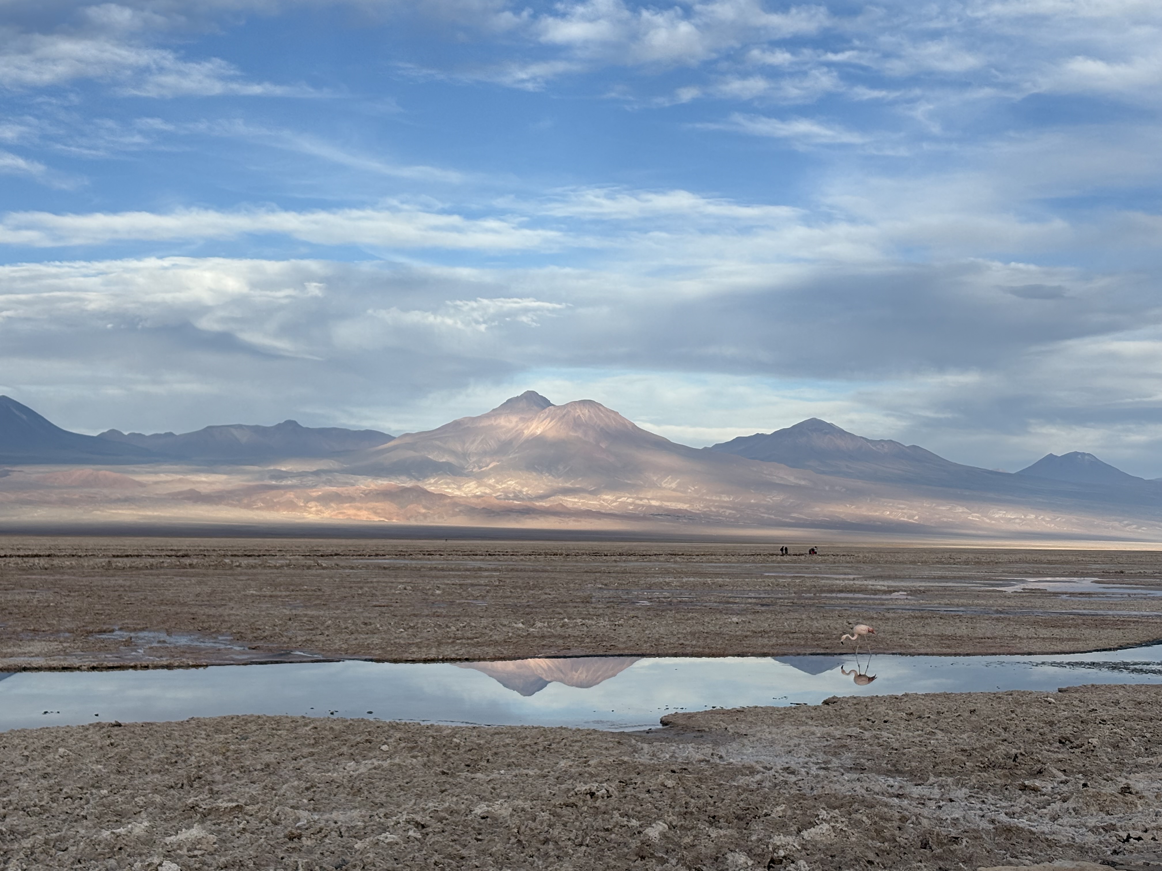 Vicunha, Atacama, Chile