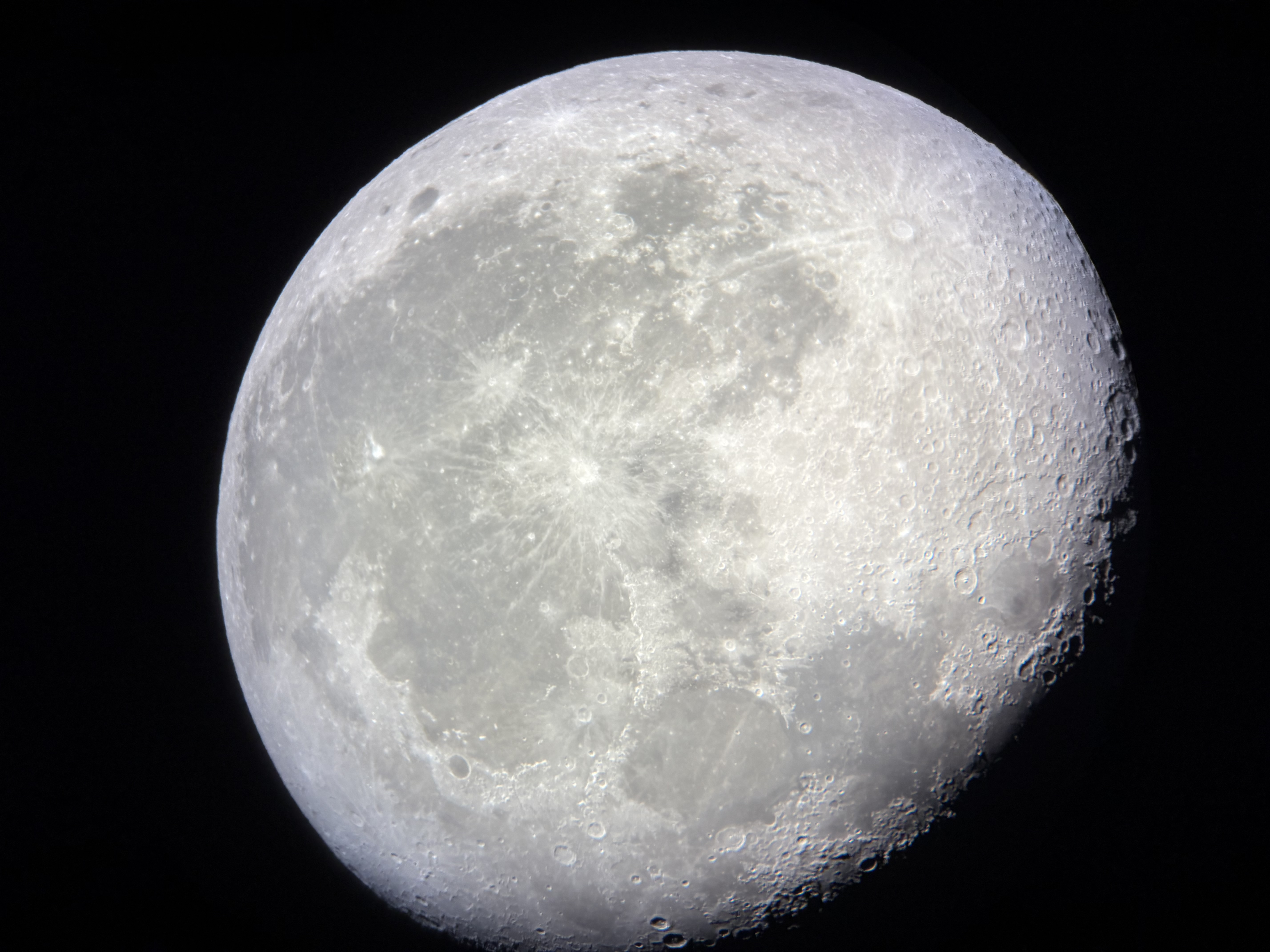 Vicunha, Atacama, Chile