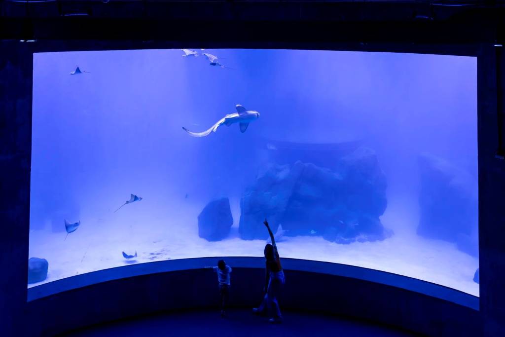 AquaFoz, Foz do Iguaçu, Paraná AquaFoz, Foz do Iguaçu, Paraná