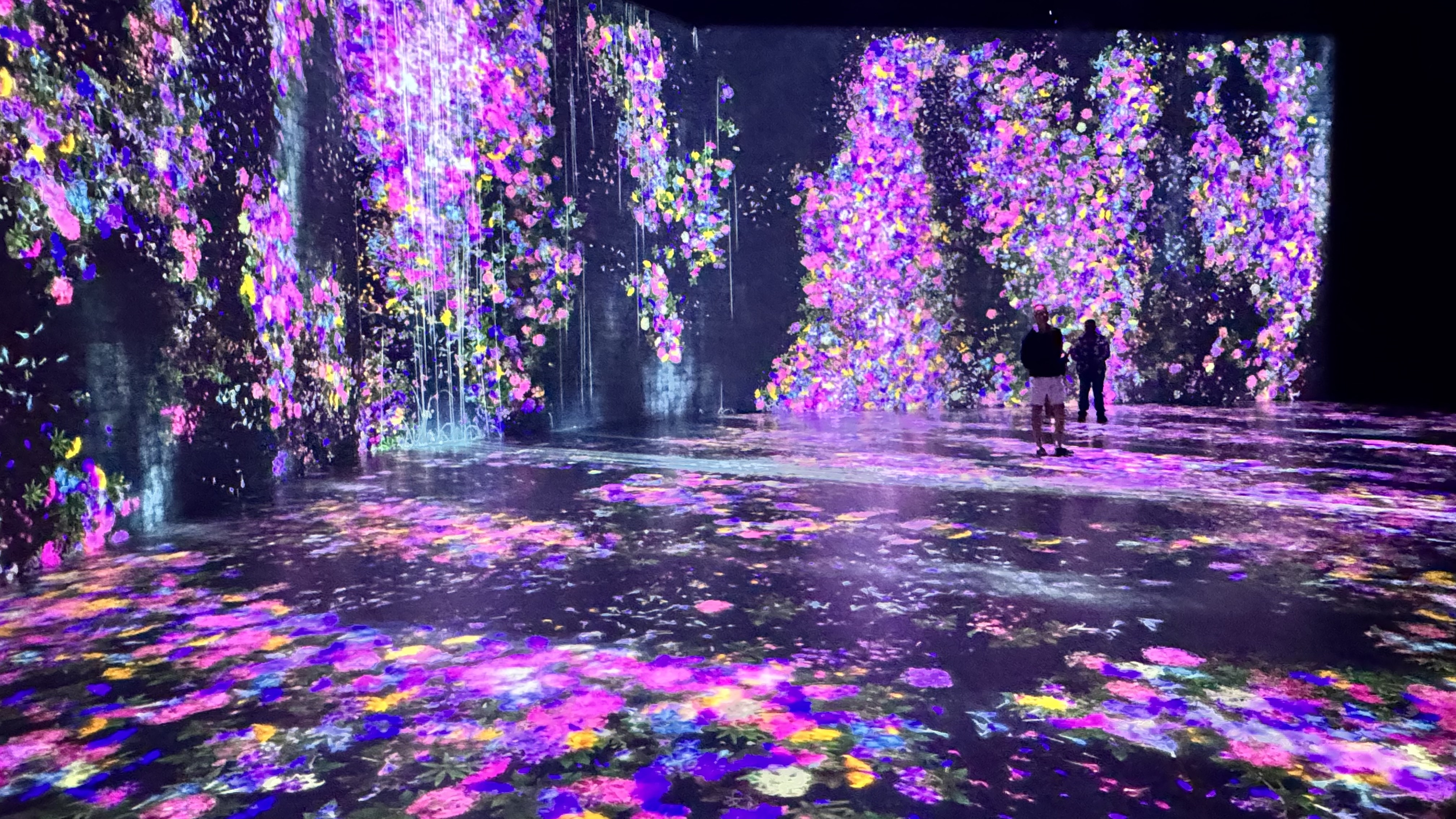 Super Blue, Miami, Estados Unidos