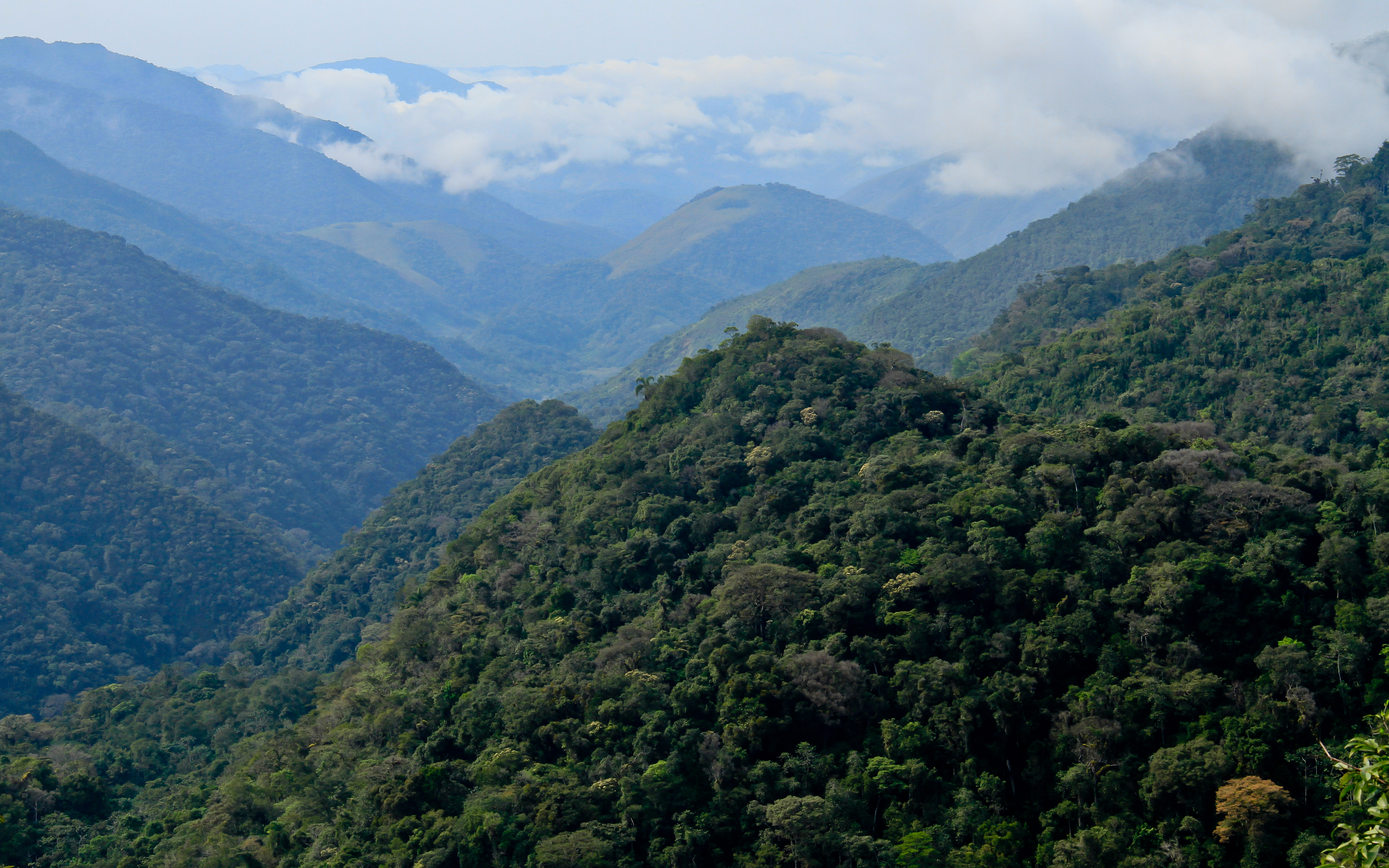 PETAR, Vale do Ribeira, S&atilde;o Paulo