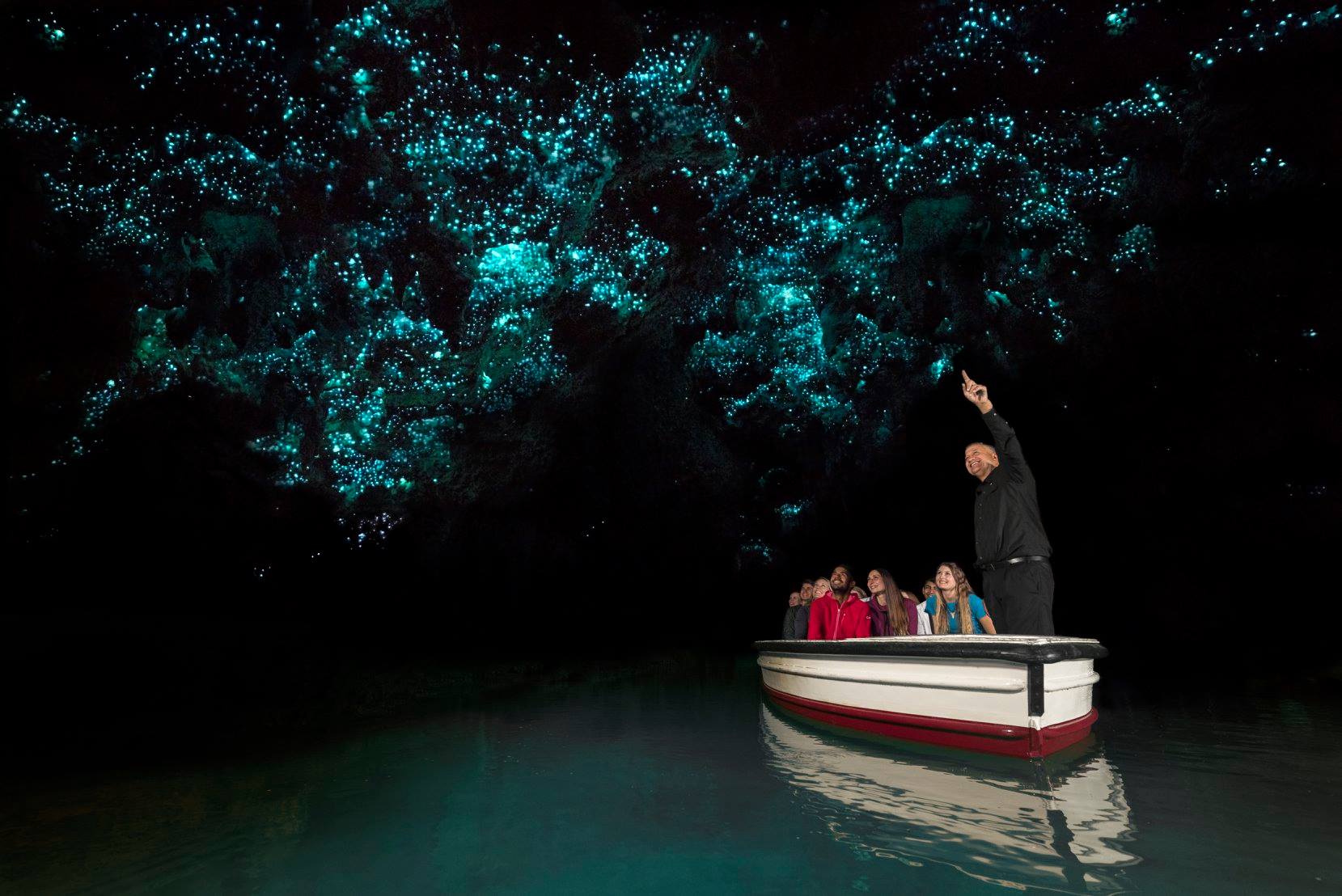 Bioluminescência dos glowworms confere aspecto de noite estrelada ao interior das cavernas em Waitomo