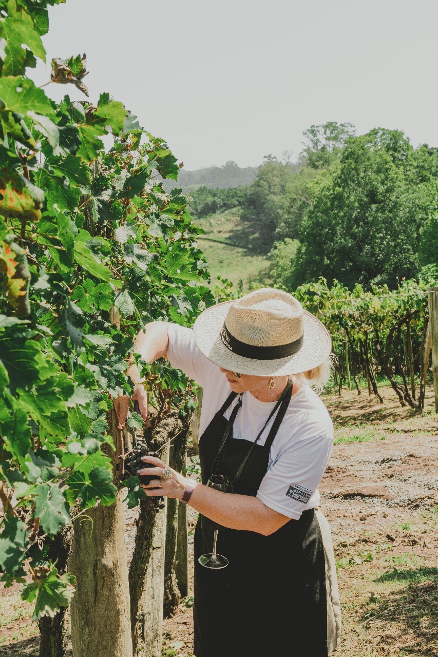 vindima-casa-valduga