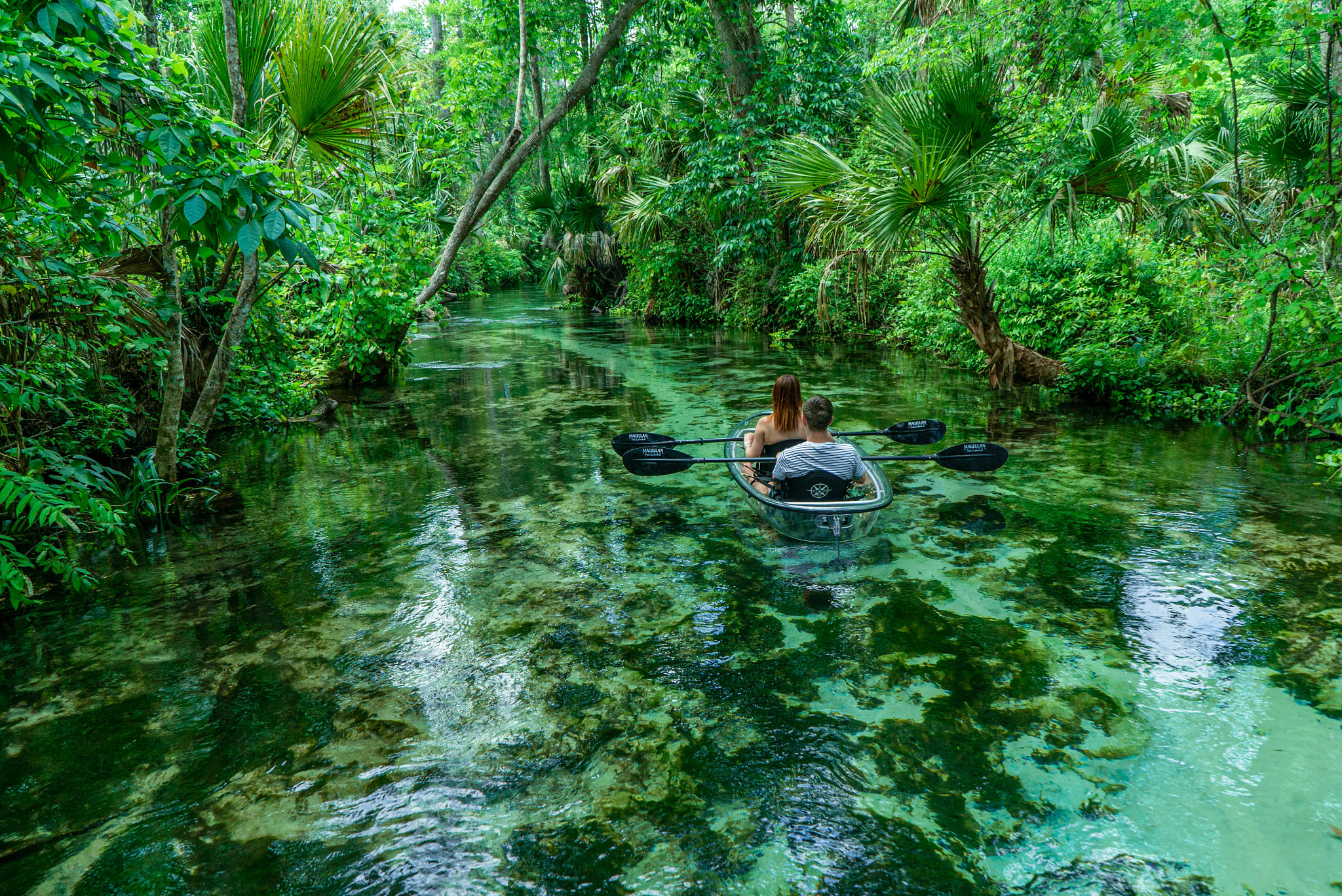 Crystal Clear, Orlando, Flórida, Estados Unidos