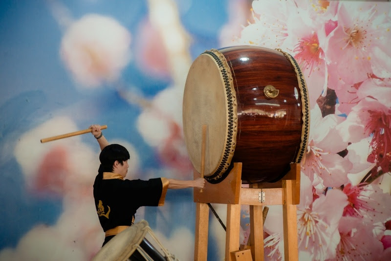 Pessoa de costas, vestindo quimono preto e dourado, tocando um grande tambor taiko marrom com baquetas, em frente a um fundo azul com flores de cerejeira rosa